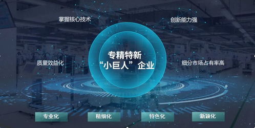 玄羽科技榮膺國(guó)家級(jí)“專精特新”小巨人企業(yè)，引領(lǐng)工業(yè)互聯(lián)網(wǎng)數(shù)據(jù)服務(wù)新篇章